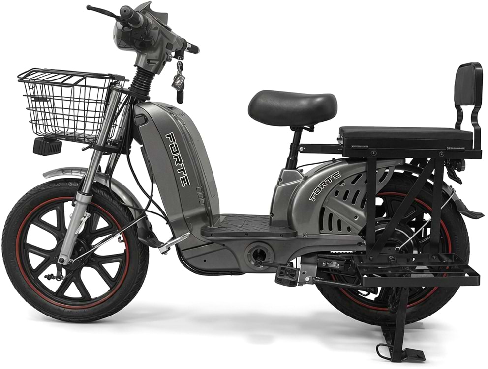 Електроскутер Forte EM219-WS Grey (+Акумулятор 12V15A/12А 5 шт.)